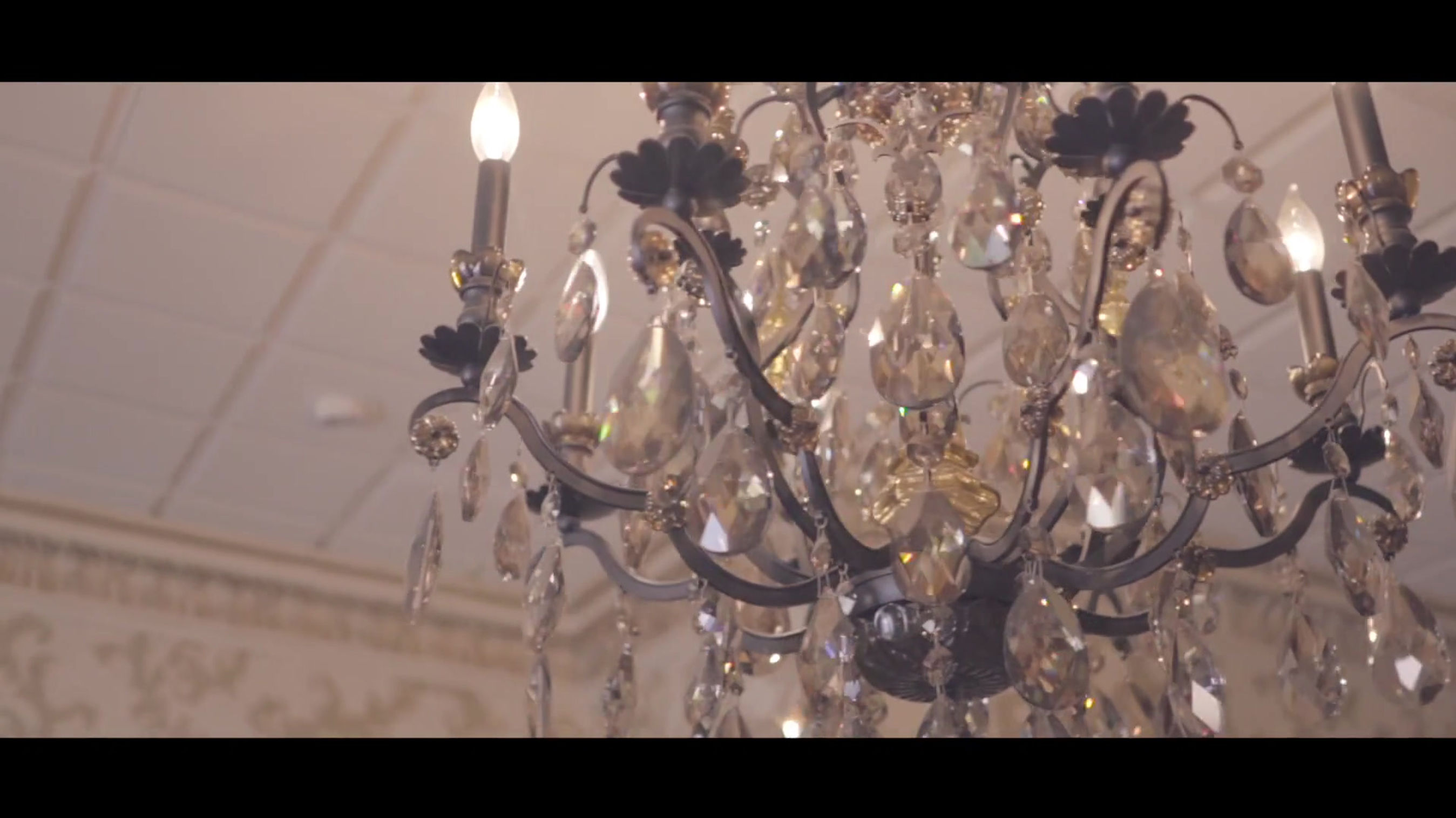 0. Marissa & Michael Cinematic Wedding Highlight - 5.2.21